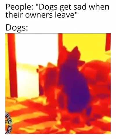 those bastards lied to me