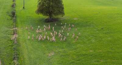 Group - Normandie nue (FR2018) (2/2) - photo finale