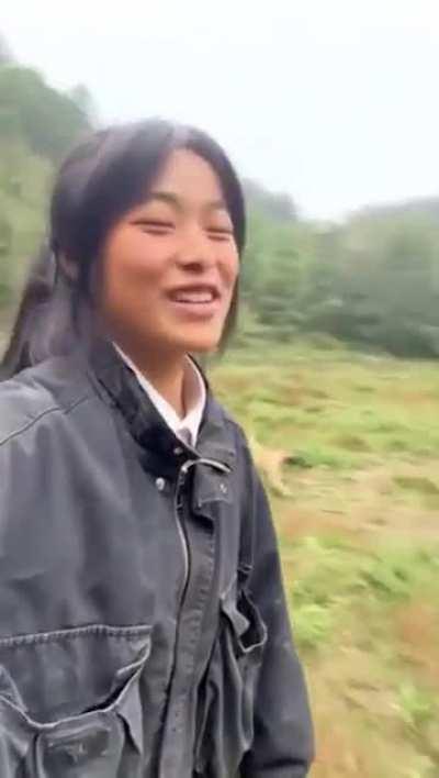 Can someone tell me what breed is this dog