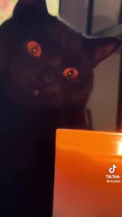 Telivdo is Sauron’s fursona. No I will not be taking constructive criticism I’m right deal with it.