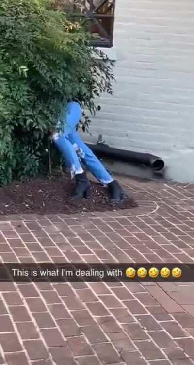 Public intoxication is pretty trashy tbh