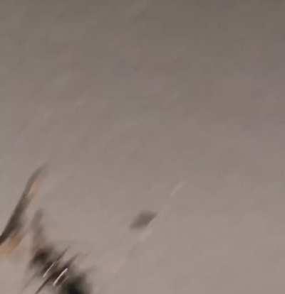 it’s a craaazy night