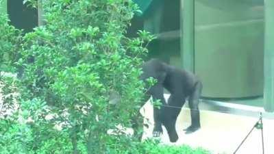 Theres always a bigger fish