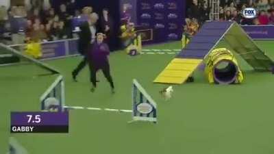 Dasha after she snorts a line of pure Colombian