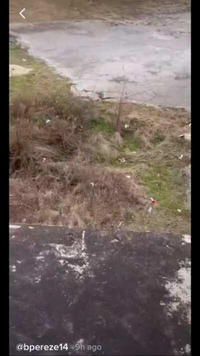 Out having fun with the friends