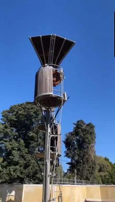 WCGW when a possum tries to sneak into an orangutans bed
