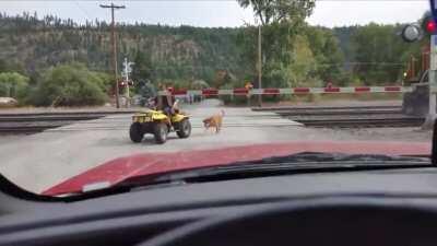 Montana Man on ATV narrowly misses train