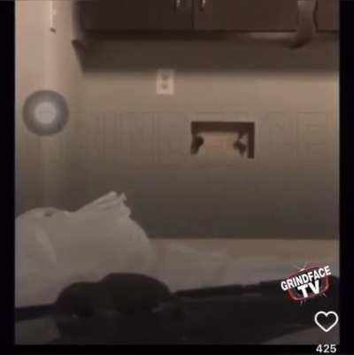 She tries to get a rat out the house with a blunt...