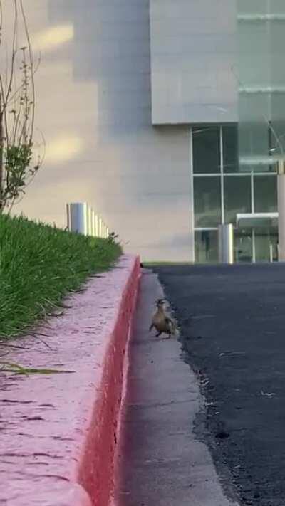 I hope this is no repost.