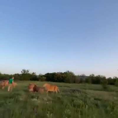 Miedo de La Chancla es universal