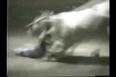 HMFT after I ride this bull
