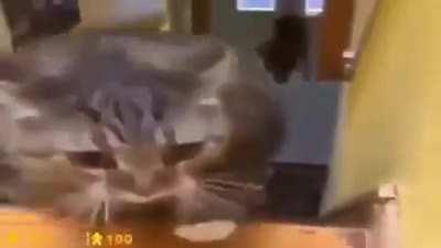 DOWNLOADED THIS BC EVERYONE NEEDS TO SEE IT I'M CRYING