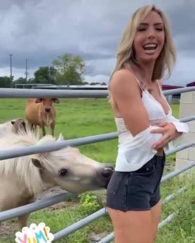 Peyton royce getting her ass licked