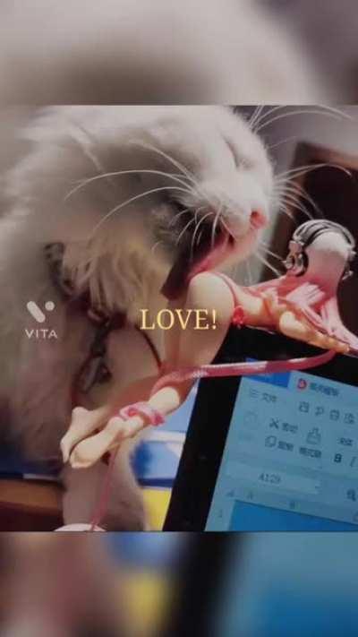 I’m awaiting trial