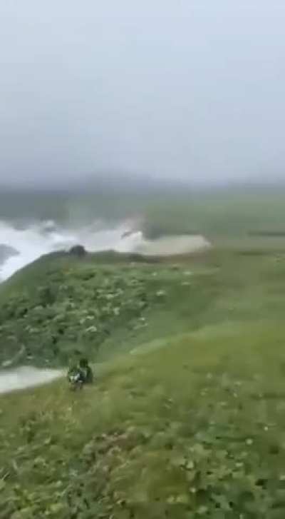 A guy filming the incoming tsunami on Kamchatka with his mobile phone while on a walk with his dog.