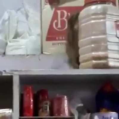 The Olympics wrestling event we want