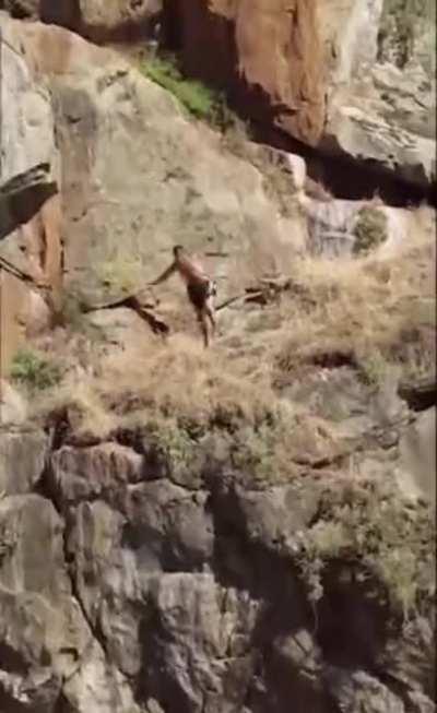 Gotta jump a little further than that..