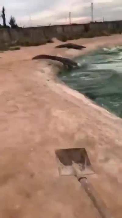 “u/Venodran chassant les cornus, rance circa 2024, colorisé.”