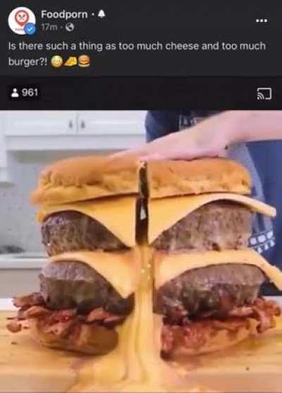 Thanks I hate ultra large burger with fully cheese