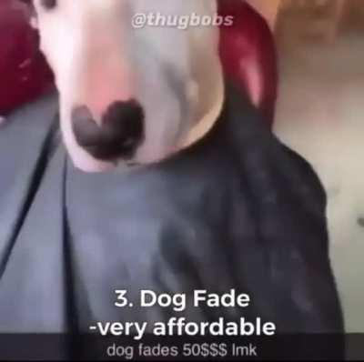 Top fiv fresh fades 😎