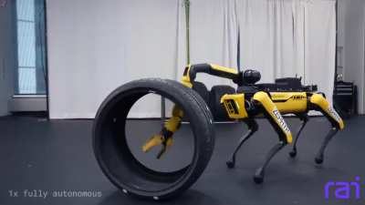 Boston Dynamic's Spot Goes From Walking To Working By Using Its Body To Figure Out How To Stack Tires