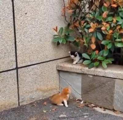 When your mind says give up,Your heart says give it one more try