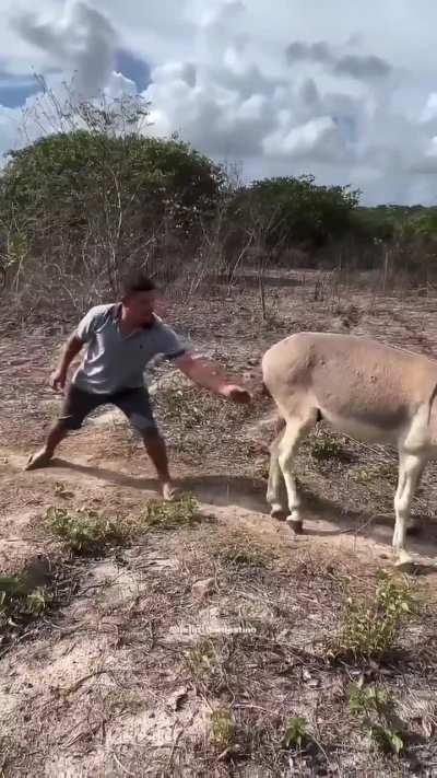 My revenge people need me 