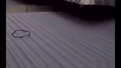 A “trip” to deaths door