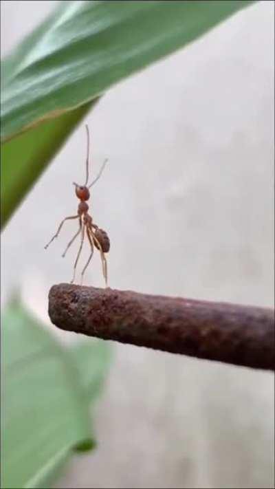 Team wor.....wait a minute