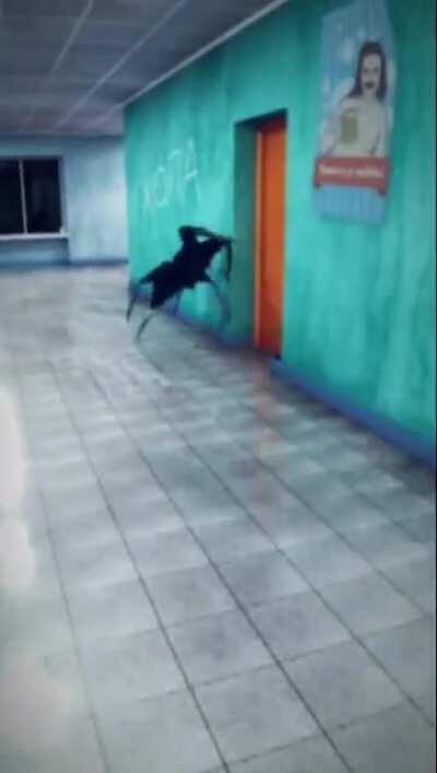 Bombrella (item type: summon cool down: 30 mins single target blast radius) summons an explosive umbrella minion that instakills any thing within blast radius