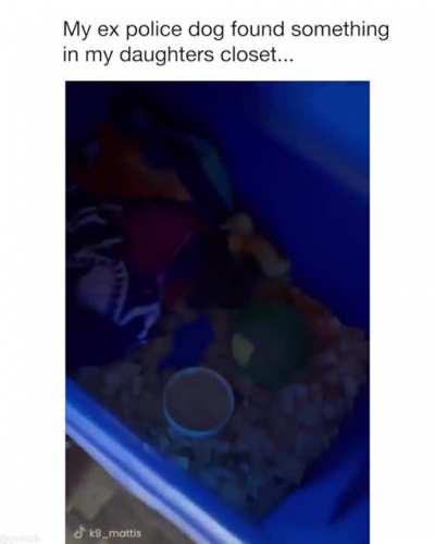 OK Officers, we found the quack instead of the crack. Move along.