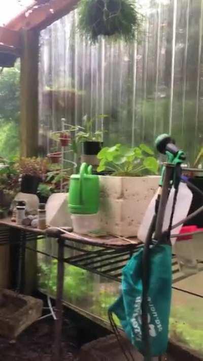 Greenhouse during rain shower