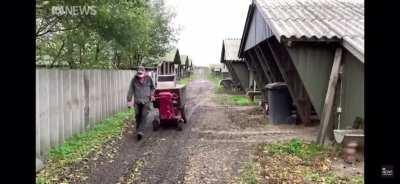 Danelish at the fineste