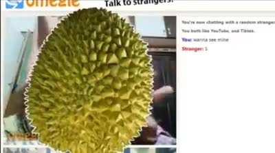 To troll a pervert in omegle