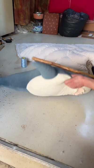 haj massage sped up to 5x, complete with wacky effects.