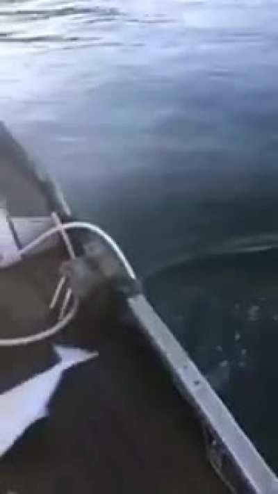 This fishing method is different