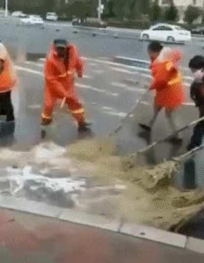 Tangerine broomers, the water sweepers