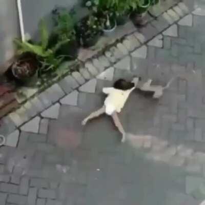 O melhor é o macaco na motinha