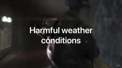 Not to mention using our individual weaknesses against us