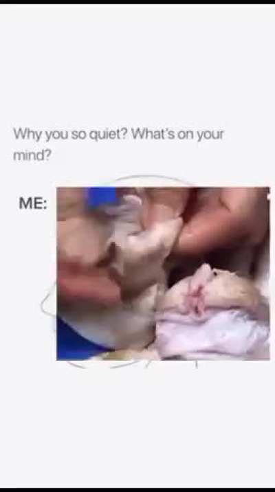 Med bros would you eat this