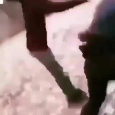 Found this on Twitter