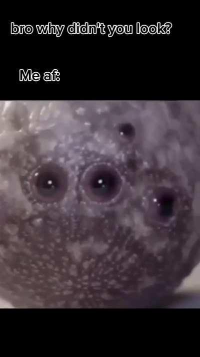 When you can look both ways