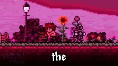 Is this anyone's Cyborg? 😳😳😳