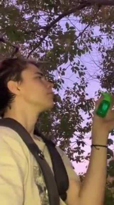 Status update: Found a tree