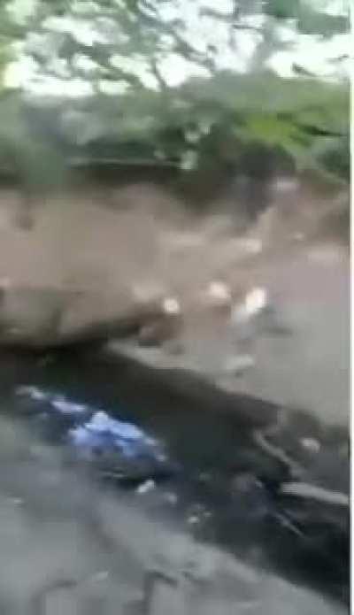 Darwin Award contender?