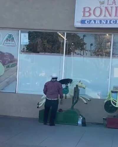 Little dog riding mechanical horse