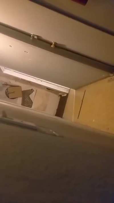 Meanwhile on long island