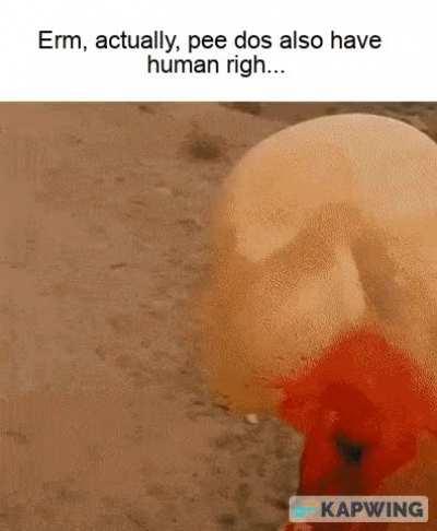 No they don't, shut the fk up