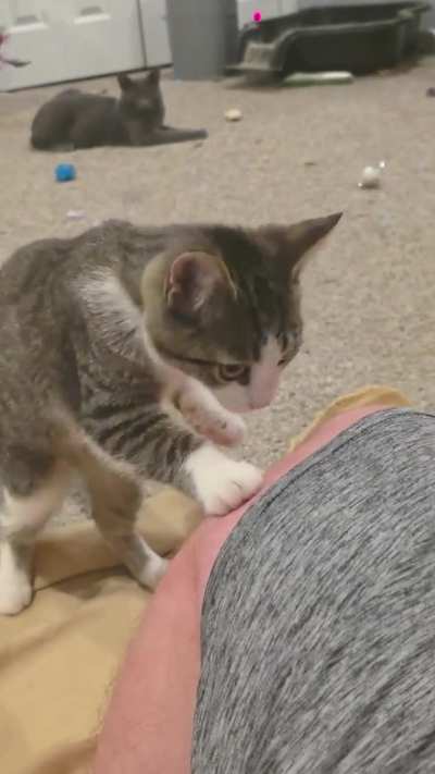 Oh, hi sweetie! I don't have any treats for you