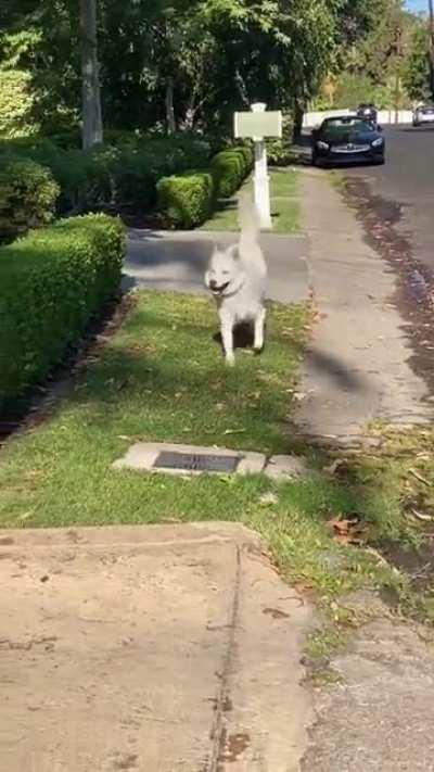 Когда понедельник и не надо на работу